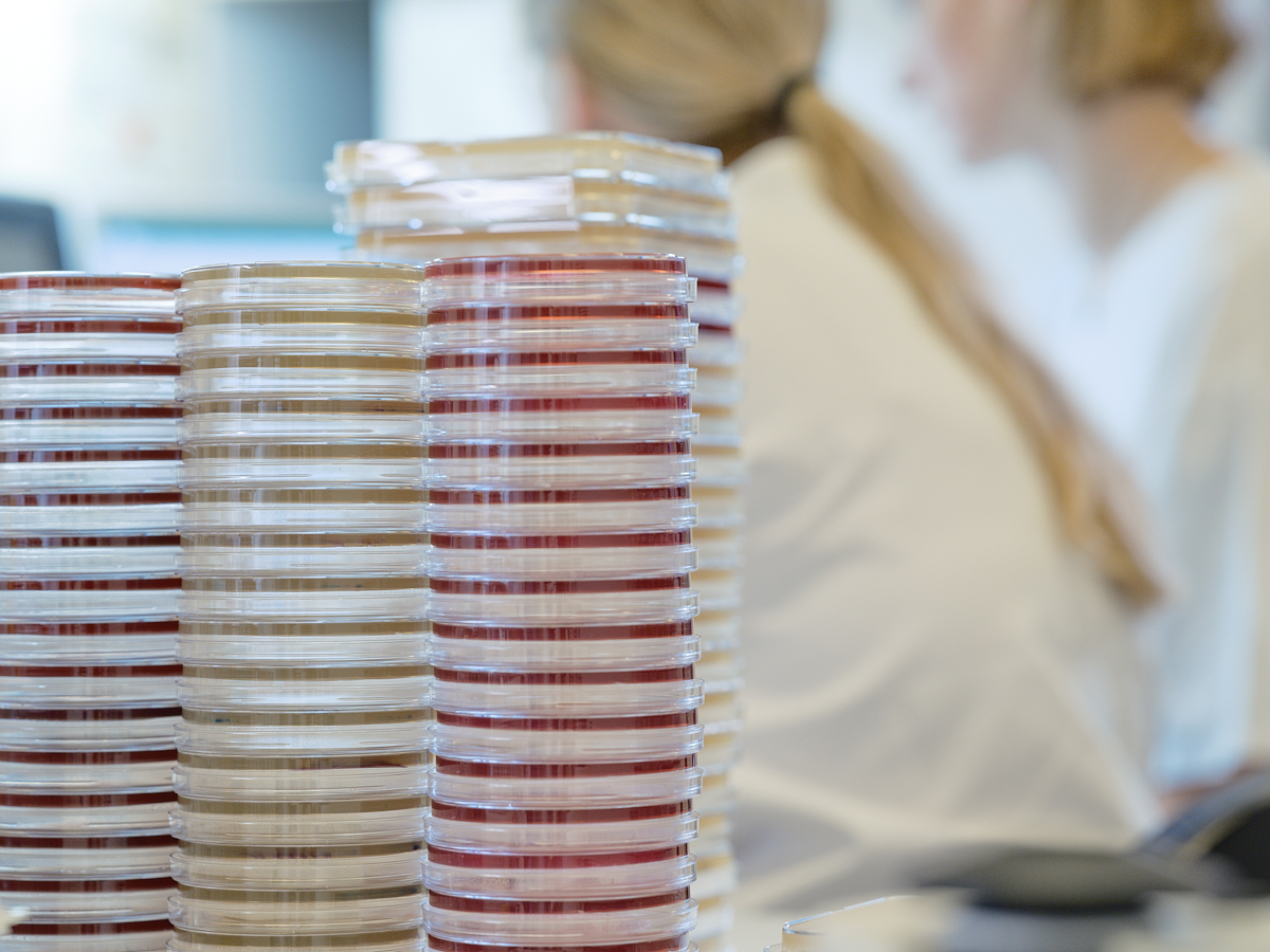 Mikrobiologie - Patient*innenproben am Standort Ried